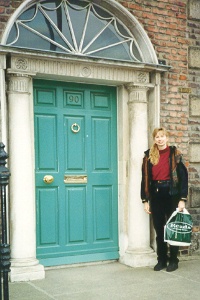 Georgian Door in Dublin