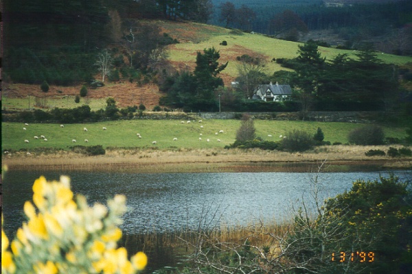 Beautiful picture of countryside in Ireland