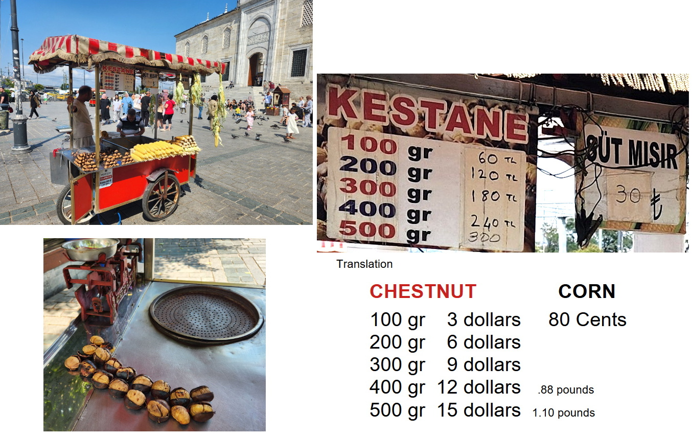 istanbul food carts
