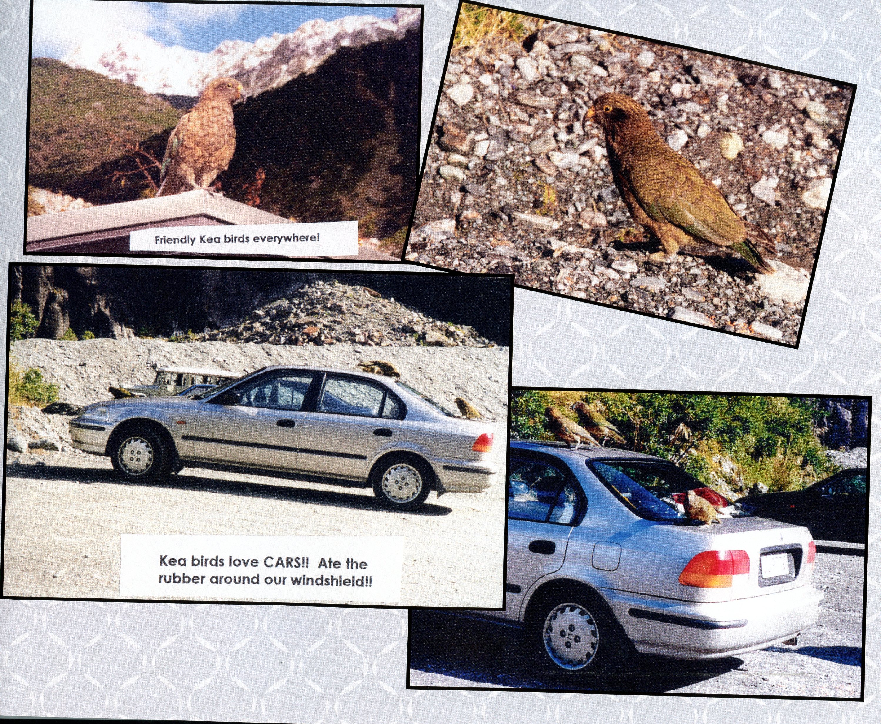 1999 Suzanna Travels to New Zealand