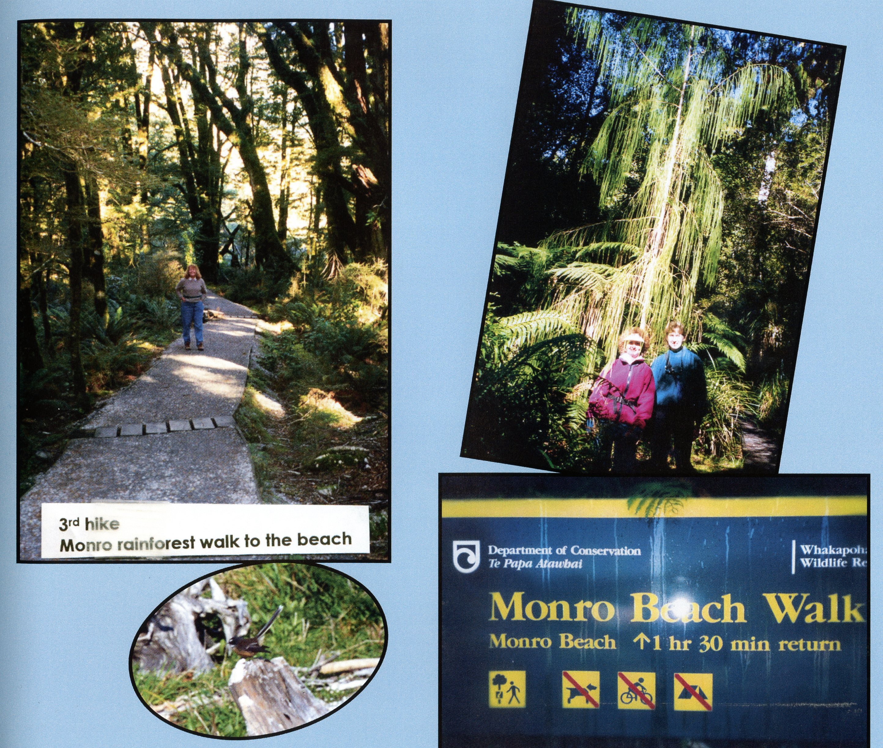 1999 Suzanna Travels to New Zealand