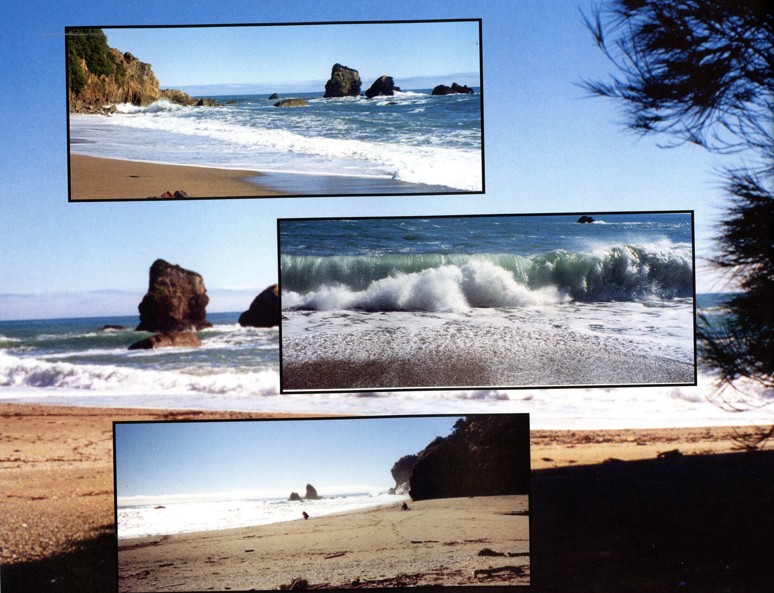 1999 Suzanna Travels to New Zealand