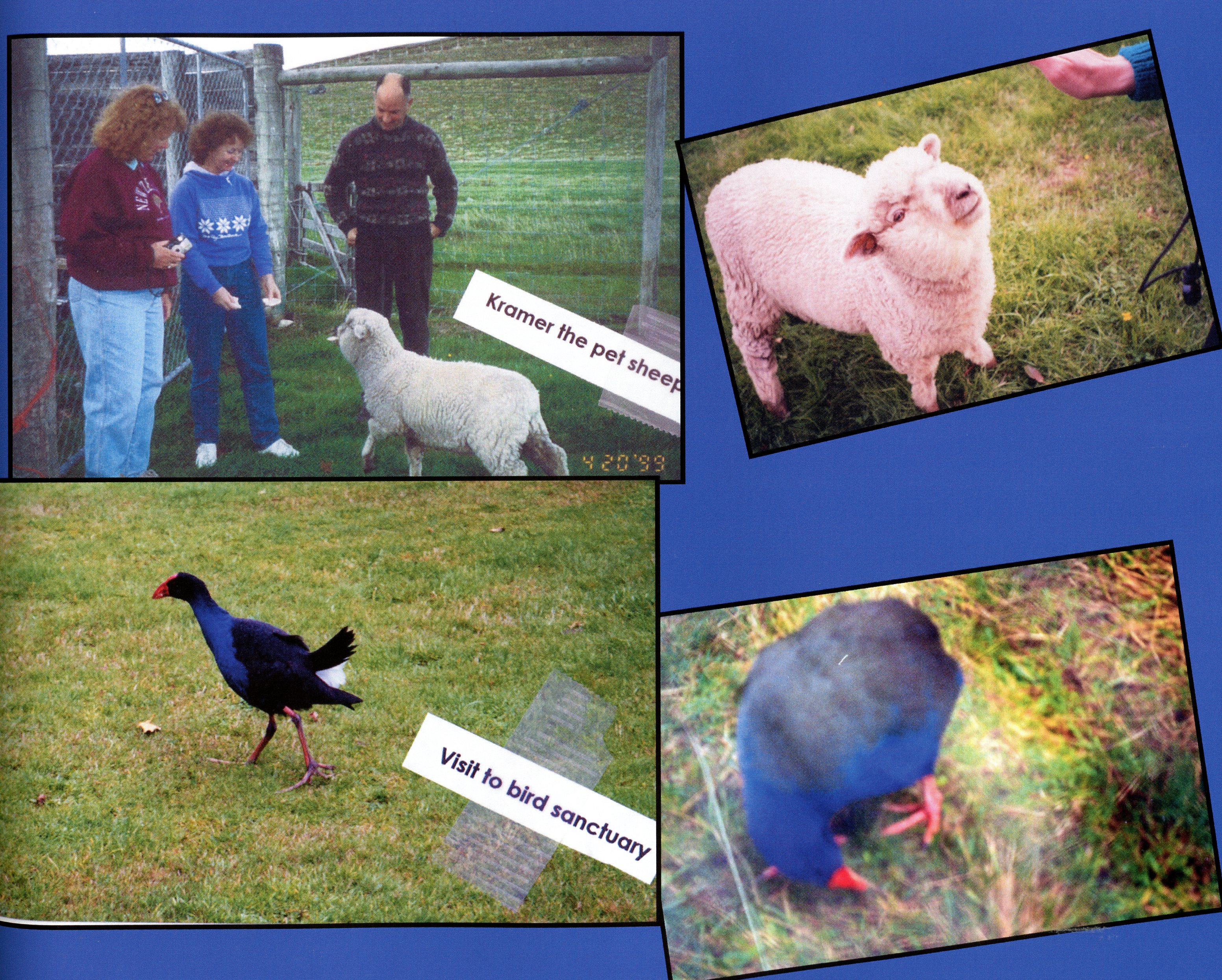 1999 Suzanna Travels to New Zealand