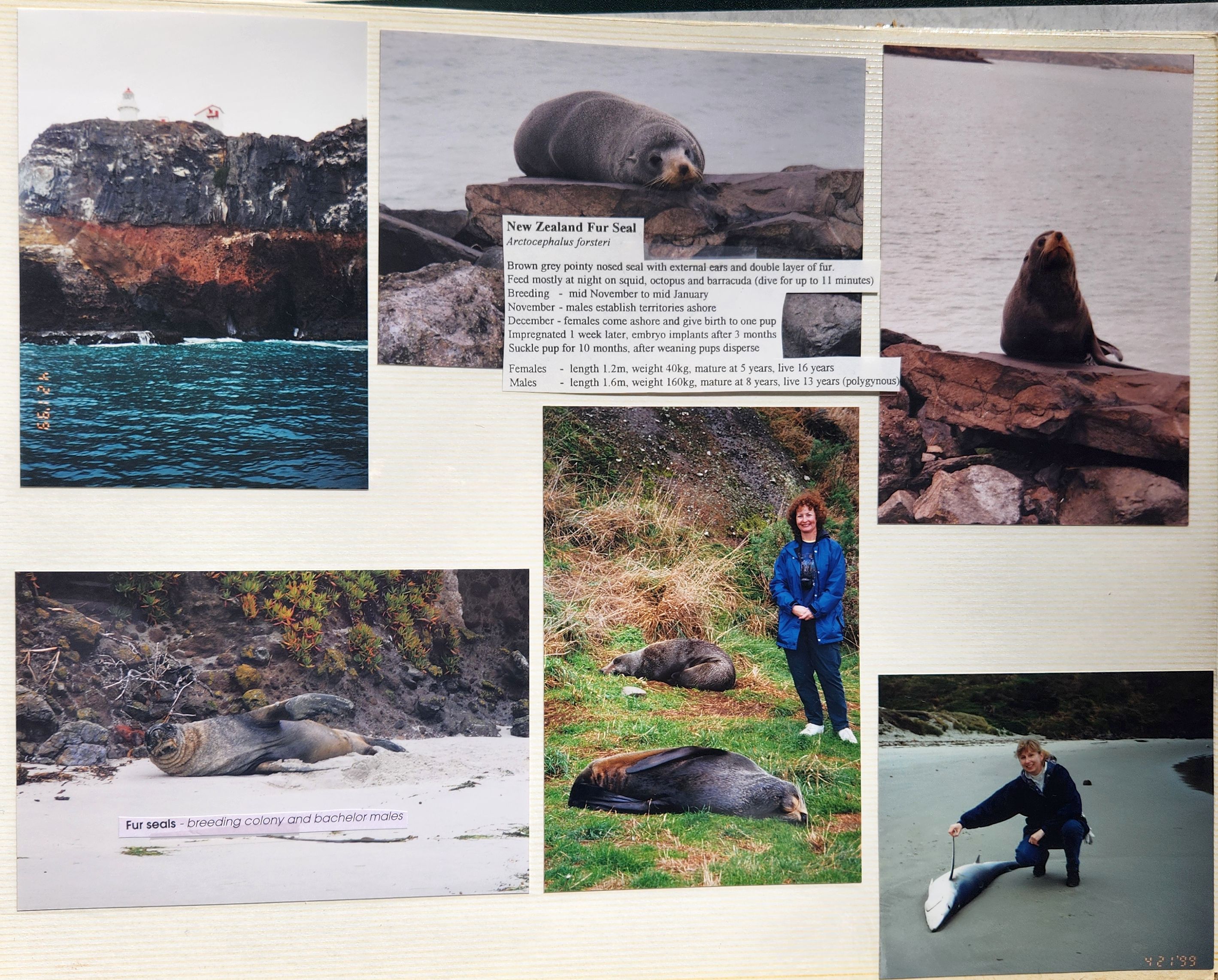 1999 Suzanna Travels to New Zealand