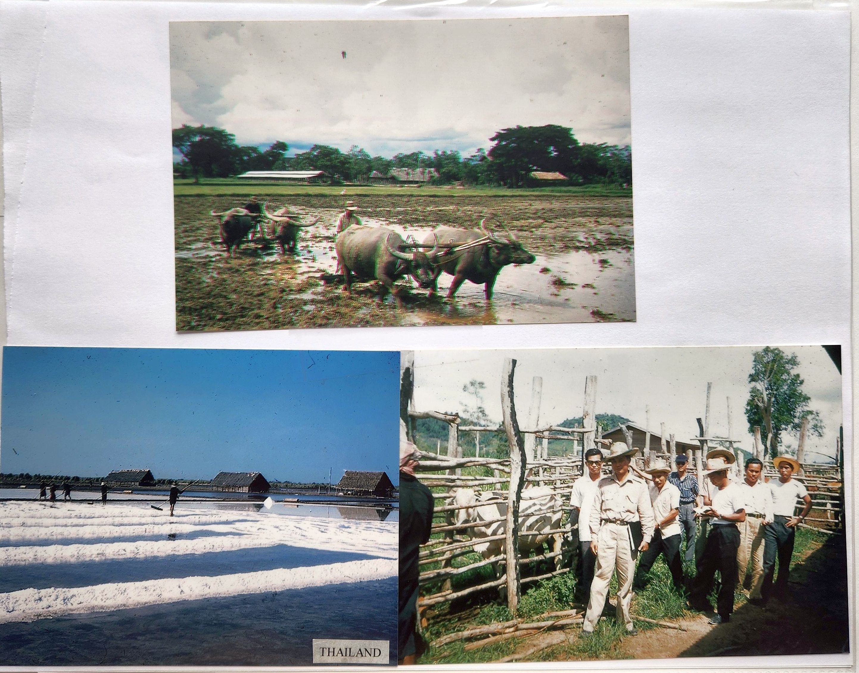 Chris and Lydia Travel Pictures