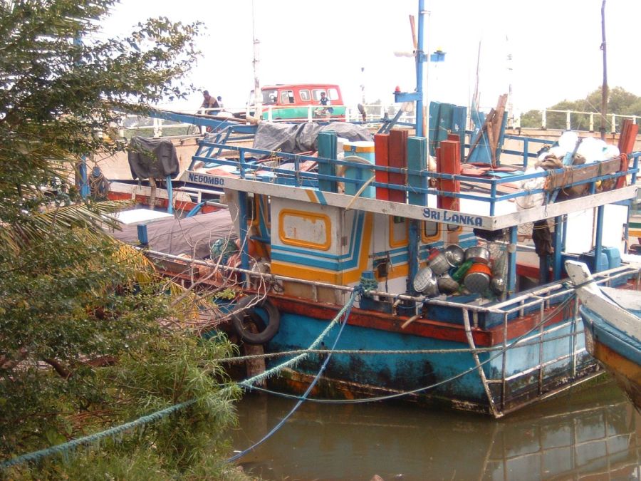 Suzanna Travels to Sri Lanka