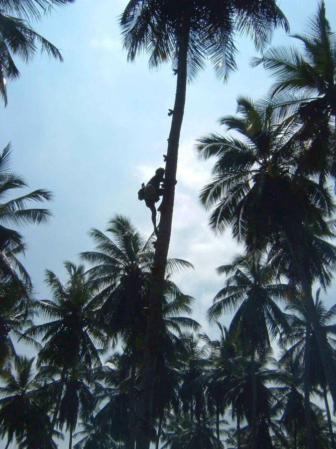 Suzanna Travels to Sri Lanka