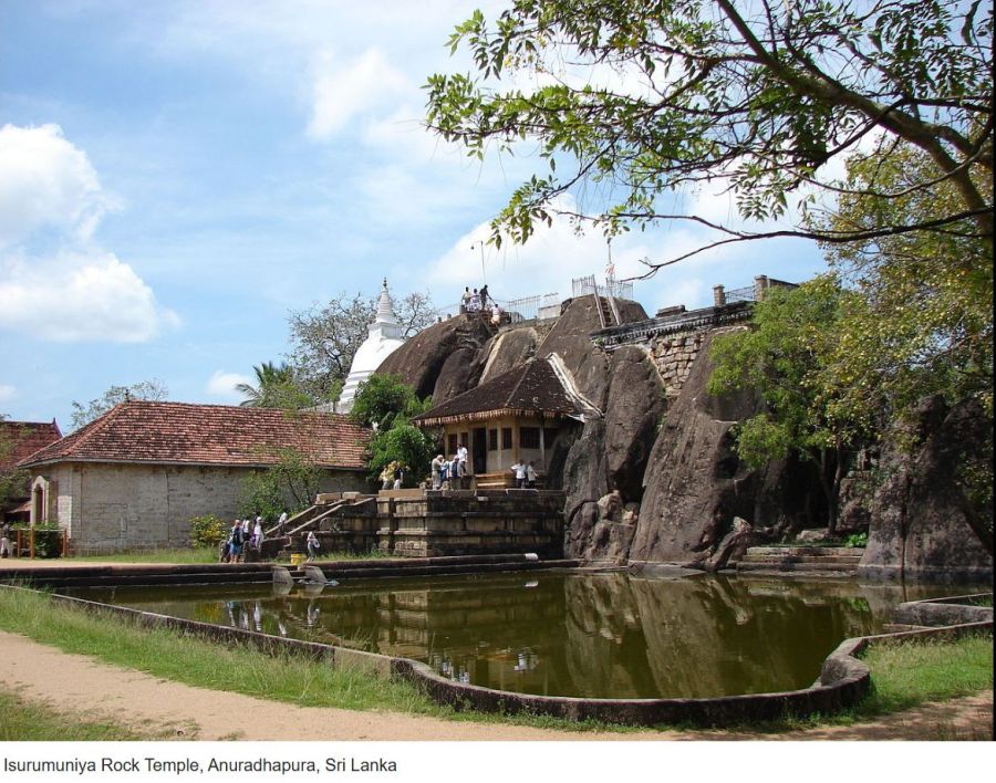 Suzanna Travels to Sri Lanka