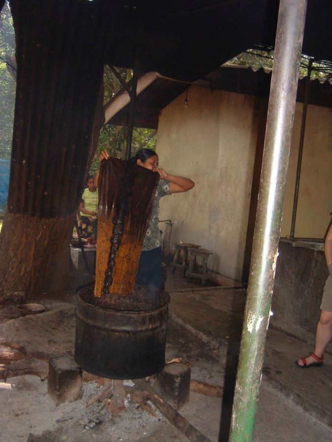 Suzanna Travels to Sri Lanka