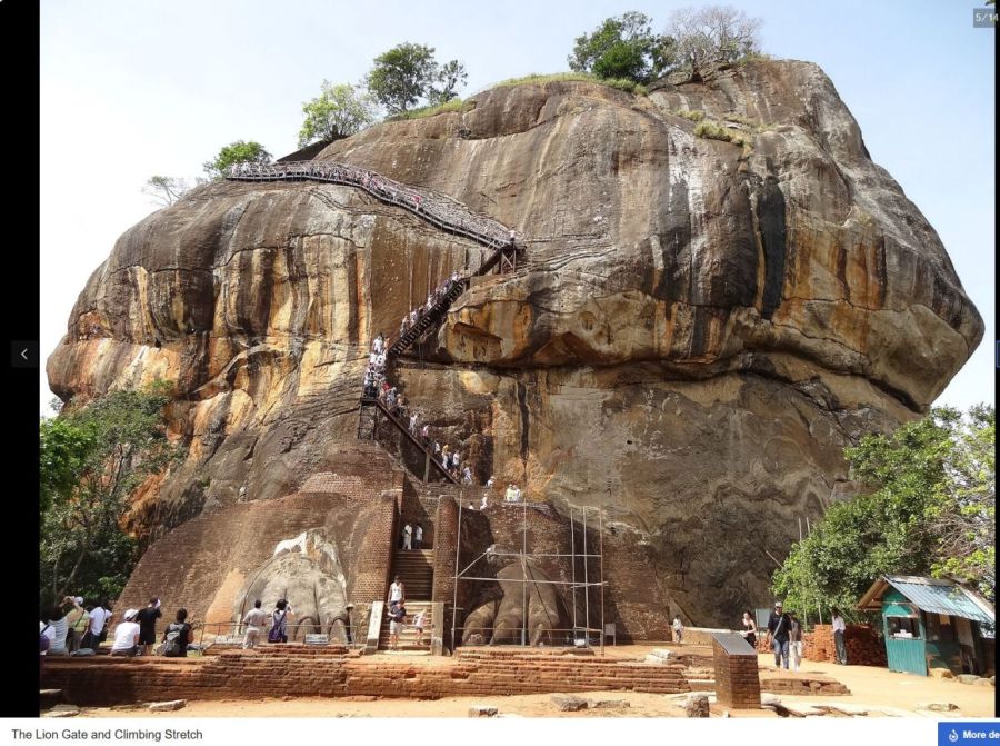 Suzanna Travels to Sri Lanka