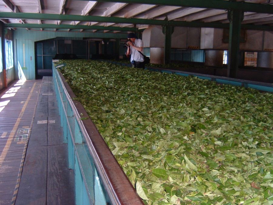 Suzanna Travels to Sri Lanka