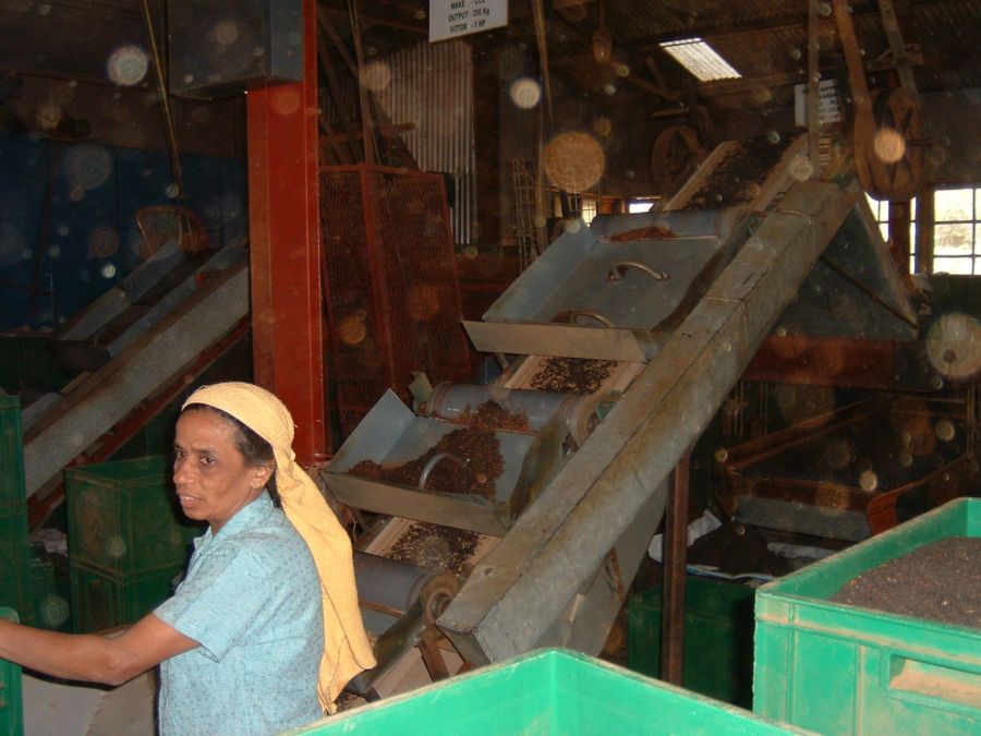 Suzanna Travels to Sri Lanka