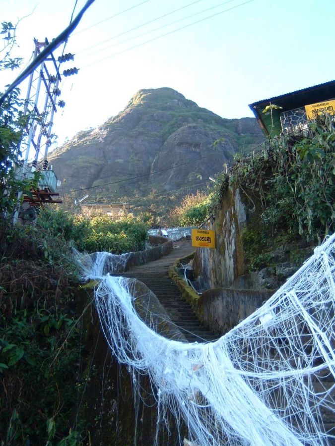 Suzanna Travels to Sri Lanka