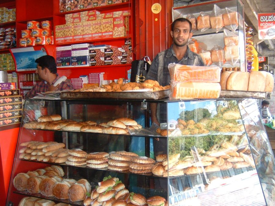 Suzanna Travels to Sri Lanka