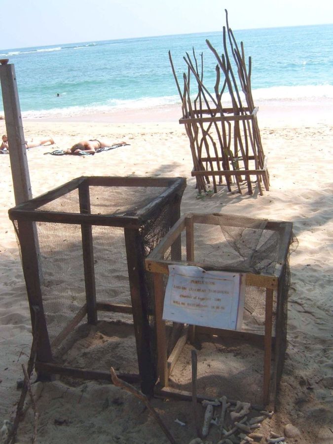 Suzanna Travels to Sri Lanka