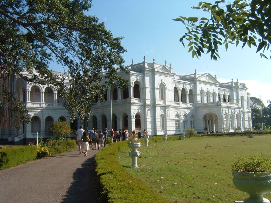 Suzanna Travels to Sri Lanka